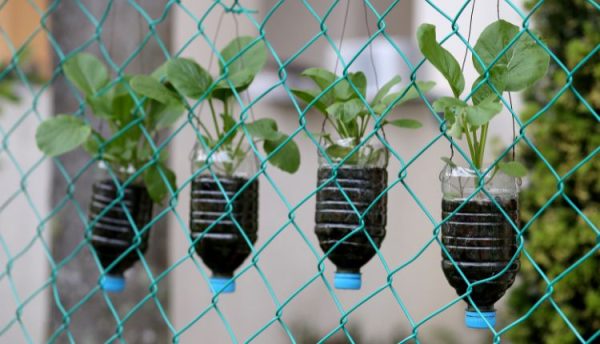 استفاده مجدد از بطری‌های پت